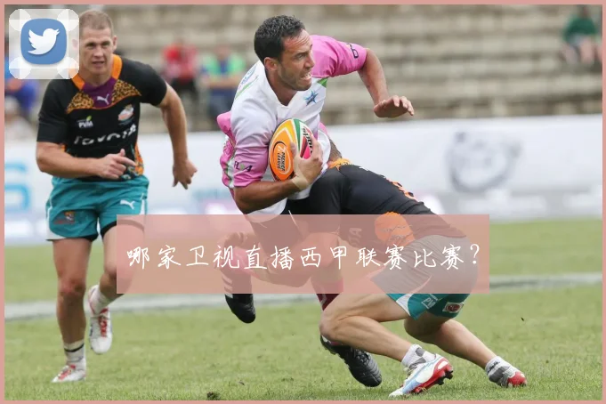 哪家卫视直播西甲联赛比赛？