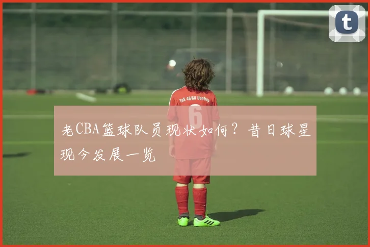 老CBA篮球队员现状如何？昔日球星现今发展一览