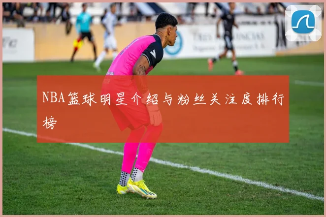 NBA篮球明星介绍与粉丝关注度排行榜