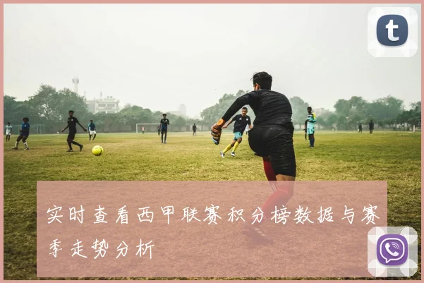 实时查看西甲联赛积分榜数据与赛季走势分析